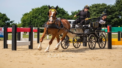 Certius National Carriage Driving Championships 2025 The David Broome Event Centre Wales
