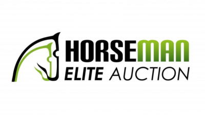 Horseman Elite Auction 2024 Azelhof Belgium