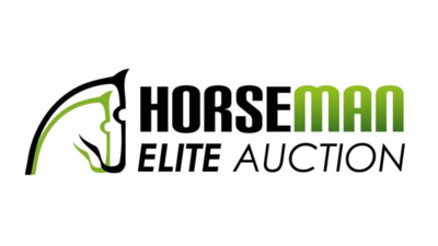 Horseman Elite Auction 2025 Belgium