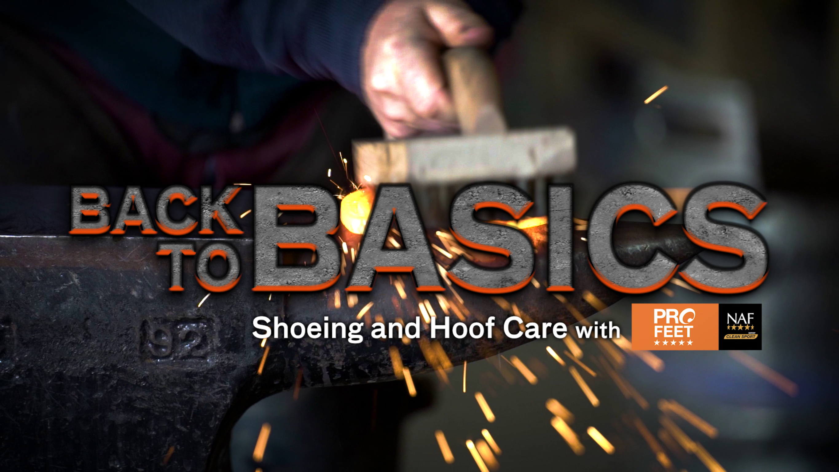 Back to Basics: Shoeing & Hoof Care with NAF.