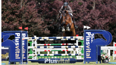 DAFM Stud Book 2025 Maryville Stables Ireland