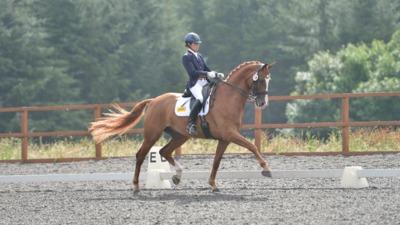 British Dressage High Profile Show 2023 Aintree International