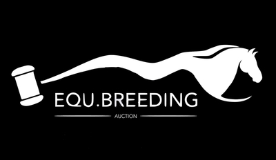Equbreeding Auction 2025 Belgium