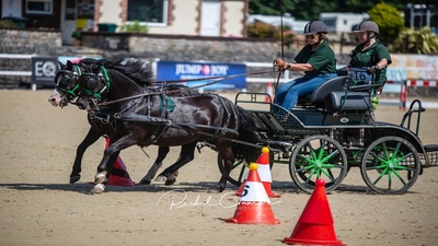 Australian Championships featuring The Zilco Ashes 2023 The Southern Highlands Carriage Club Australia