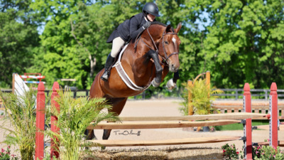Brave Horse II 2024 USEF "A" Level 2 Jumpers Johnstown Ohio USA