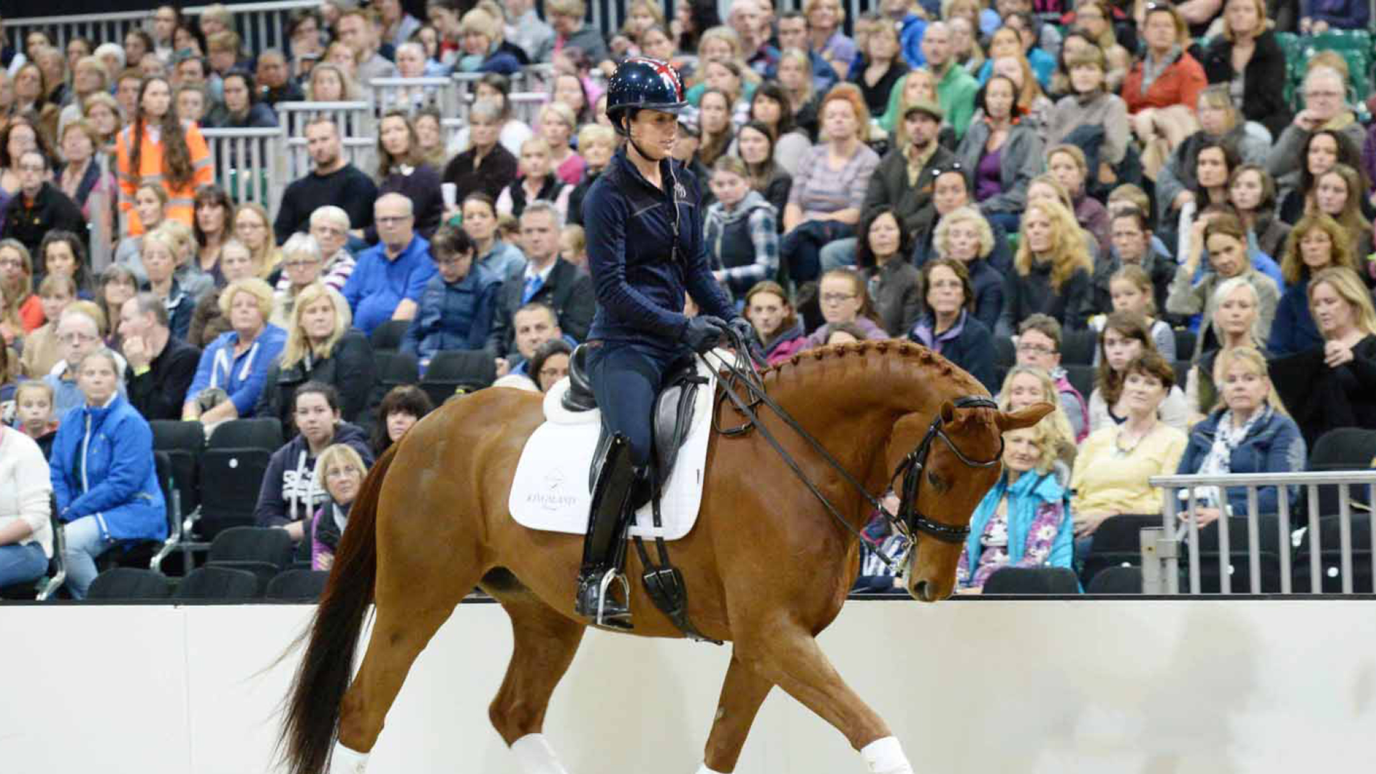 Your Horse Live 2018: Learn from the Experts