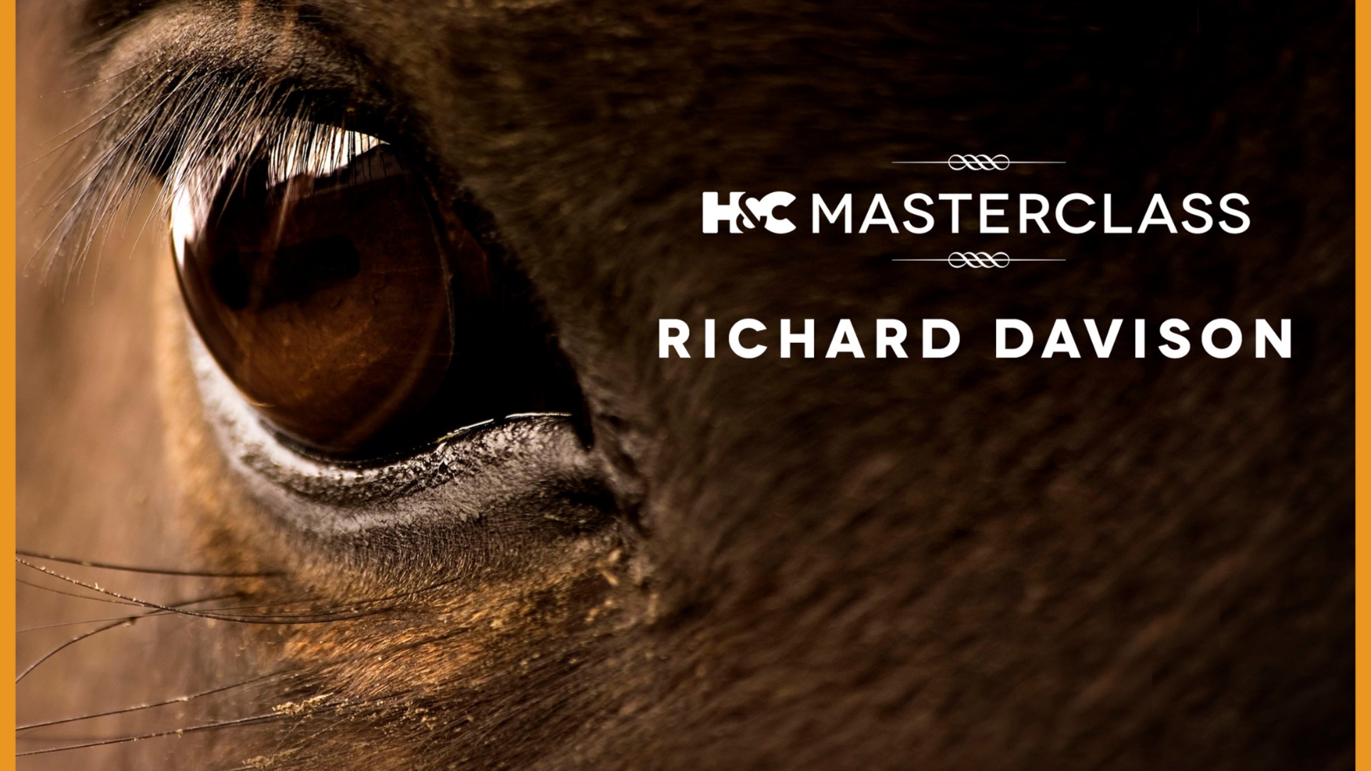 Richard Davison: Masterclass