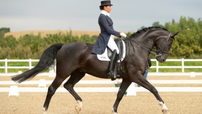 British Dressage High Profile Show 2023 Bury Farm