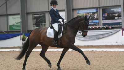 British Dressage High Profile Show 2024 Vale View Equestrian