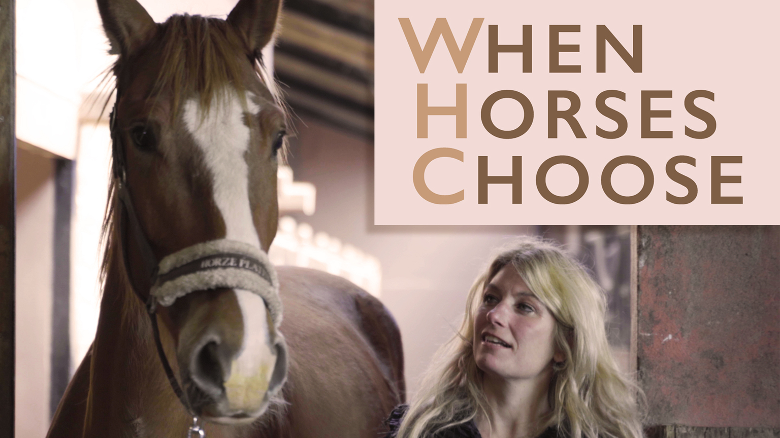 When Horses Choose