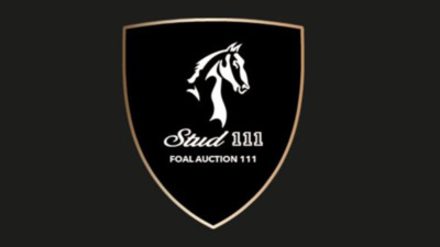 Foal Auction 111 June 2024 Stud 111 Azelhof Lier Belgium