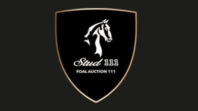 Foal Auction 111 July 2024 Stud 111 Azelhof Lier Belgium