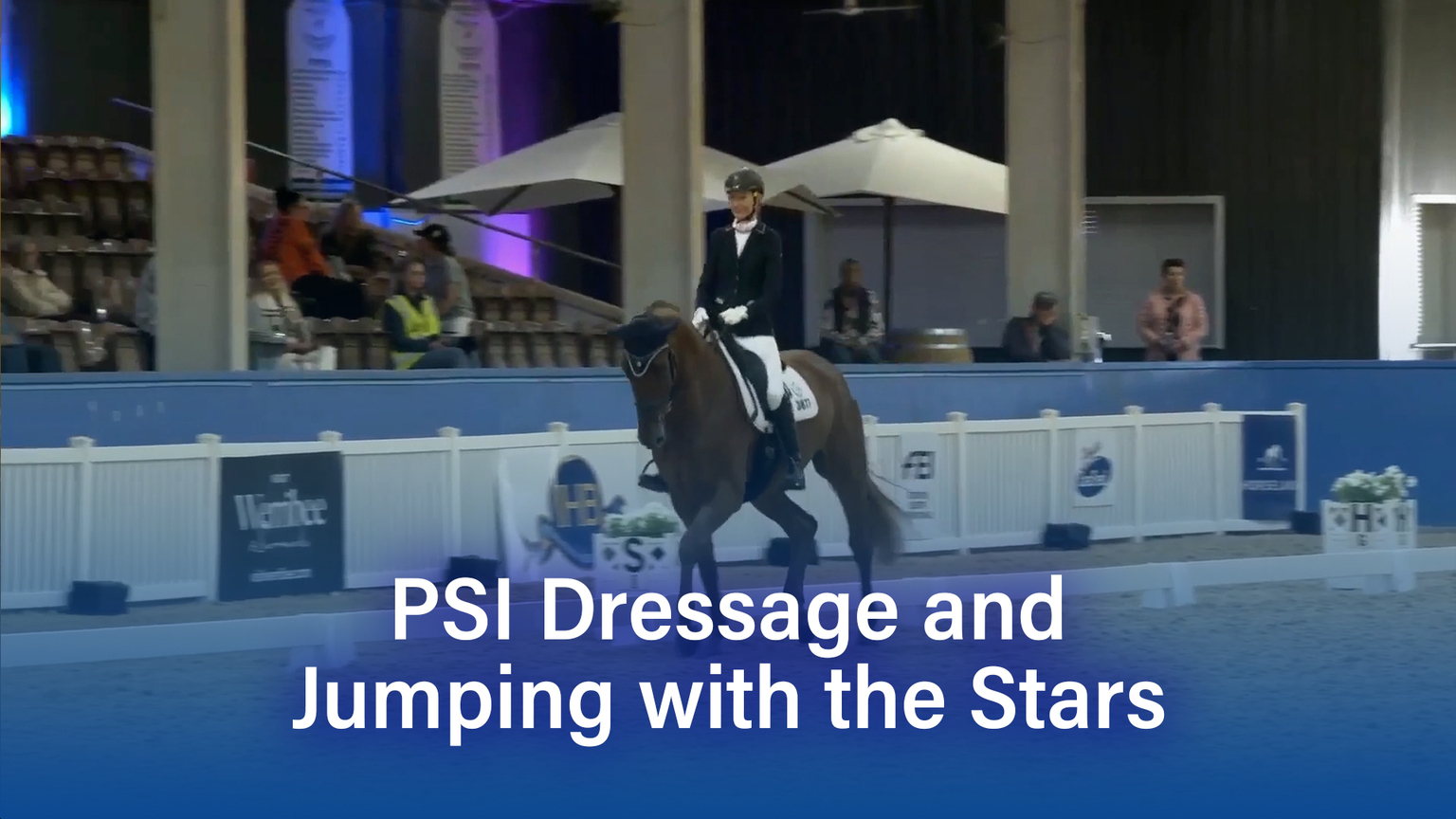 PSI Dressage and Jumping with the Stars 2023 Highlights