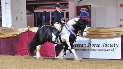 Veteran Horse Society National Championships 2023, Arena UK