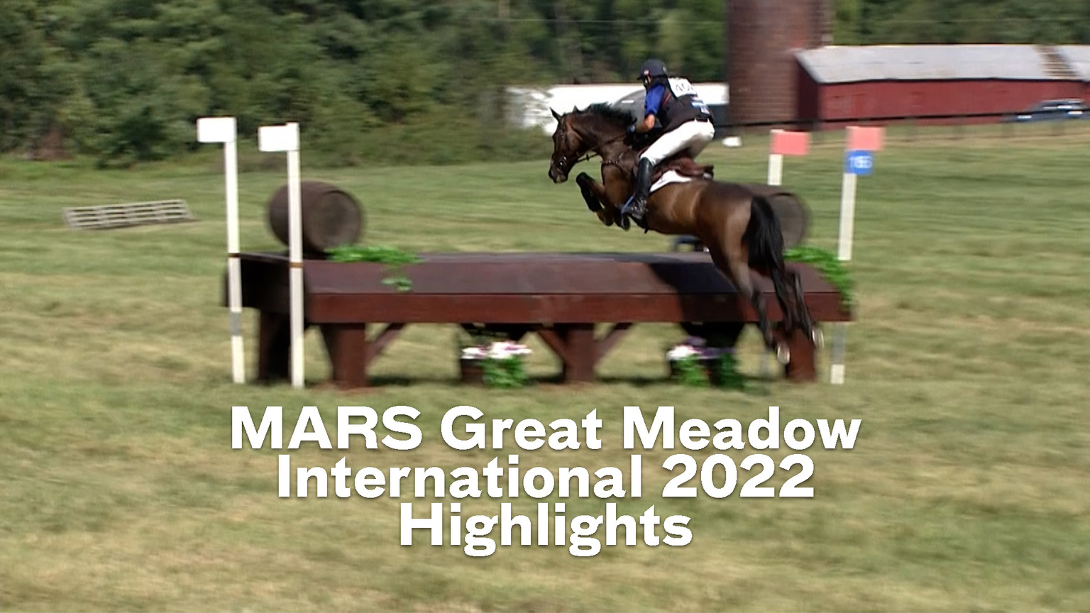 Mars Great Meadow International 2022