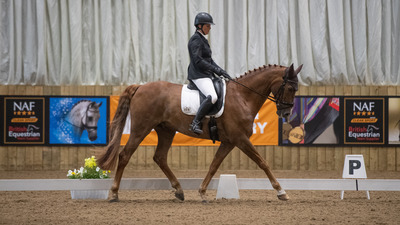 British Dressage High Profile Show 2024 Arena UK