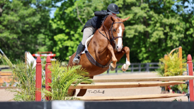 Brave Horse IV 2024 USEF "A" Level 3 Jumpers Johnstown Ohio USA
