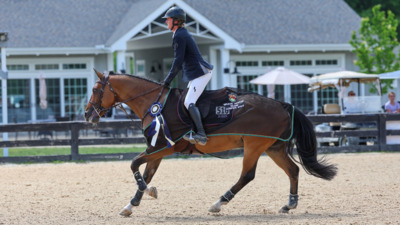 Brave Horse VIII USEF "A" Level 3 Jumpers Johnstown Ohio USA