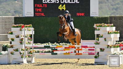 2025 Sonoma Horse Park Summer Classic Petaluma CA USA