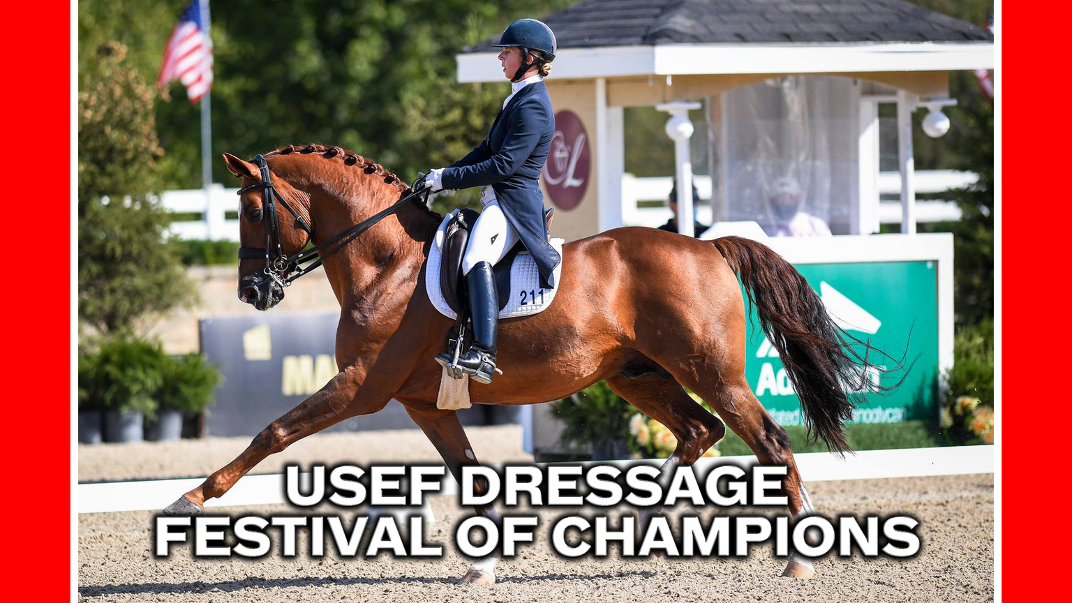 USEF Festival of Champions Highlights