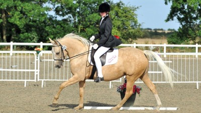 Equine Sports UK Grassroots Championships 2024 Arena UK