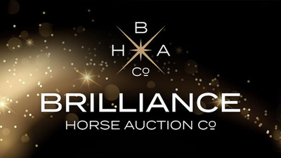 Brilliance Auction 2025 Hickstead UK