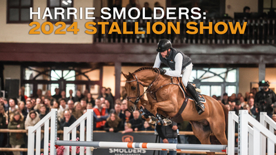 Harrie Smolders: 2024 Stallion Show