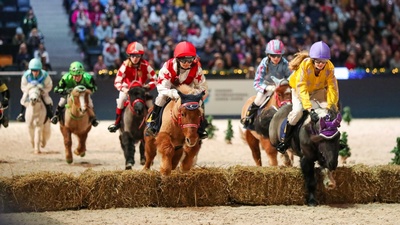 Sweden International Horse Show 2023