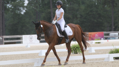 "Too Hot to Trot" I and II Dressage 2024 Stable View South Carolina USA