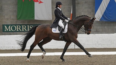 British Dressage Winter Area Festival 2023 Vale View Equestrian