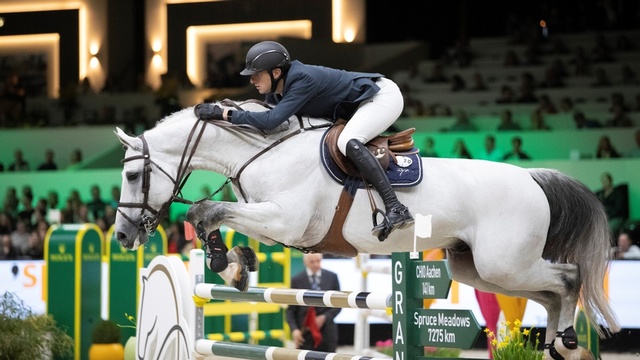 Dutch masters cheap show jumping