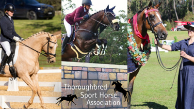 TSHA National Titles 2025 Stonewall Equestrian New South Wales Australia