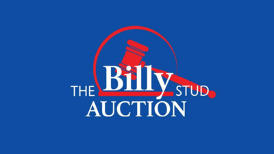 The Billy Stud Summer Auction 2024 Jordans Farm Surrey UK