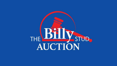 The Billy Stud Auction 2024 Jordans Farm Surrey UK