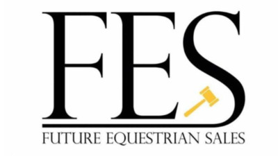 FES Auction 2024 Future Equestrian Sales Wuustwezel Belgium