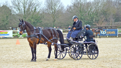 Australian Championships featuring The Ashes 2024 The Southern Highlands Carriage Club NSW Australia