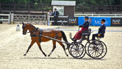 Hackney Horse of the Year Driving Extravaganza 2023 Addington Equestrian