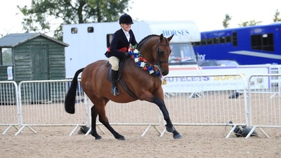 BSPS Summer Championship Show 2025 Arena UK