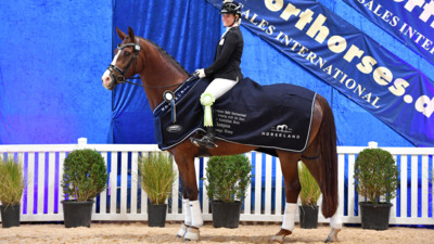 Dressage and Jumping with the Stars 2024 Werribee Australia