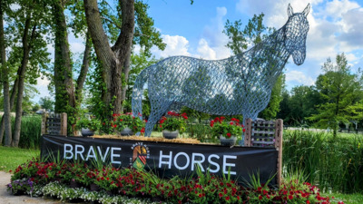 Brave Horse X 2024 USEF "B" Level 2 Jumpers Johnstown Ohio USA