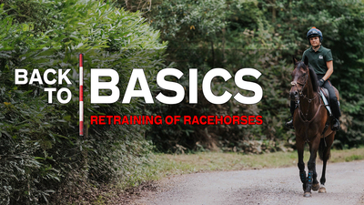 Back to Basics: Retraining of Racehorses