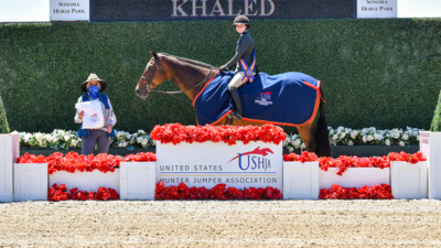 2025 Sonoma Horse Park Fall Classic I Petaluma CA USA