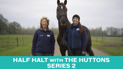 Half Halt with the Huttons Season 2