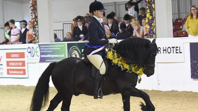 Equifest 2025 Arena UK