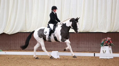 British Dressage Summer Area Festival 2024 Bury Farm