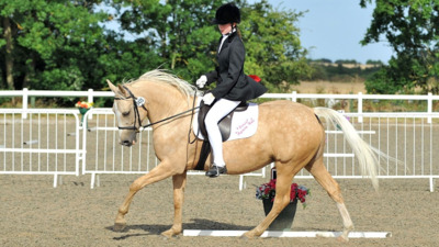 Hertfordshire County Show 2023