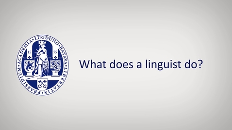 Thumbnail for Dick Smakman What does a linguist do (Source)