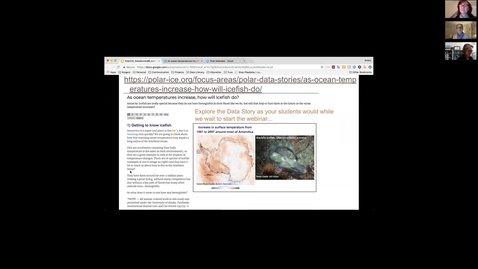 Thumbnail for PolarICE_DataStory6_Icefish_KristinOBrien_zoom