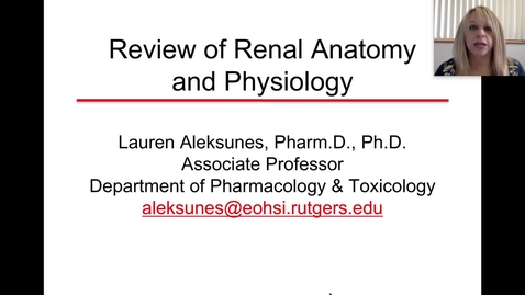 Thumbnail for entry Renal Anatomy &amp; Function Review