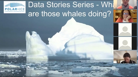 Thumbnail for PolarICE_DataStory1_Whales_AriFriedlaender_zoom_0